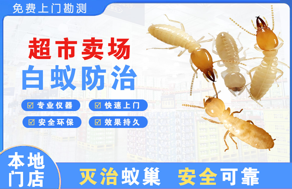 博罗超市卖场白蚁防治