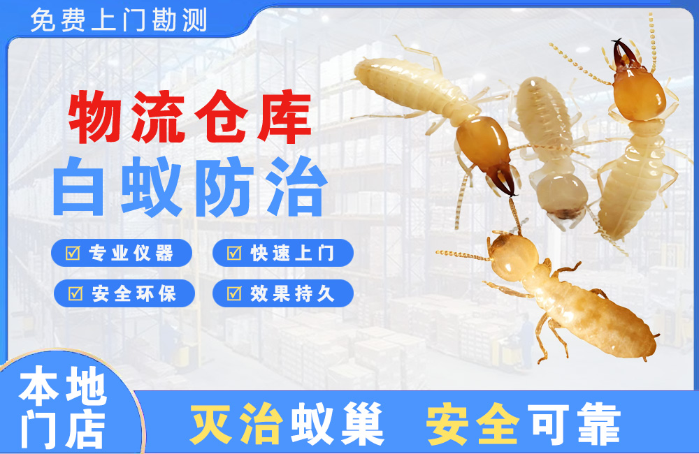 博罗物流仓库白蚁防治