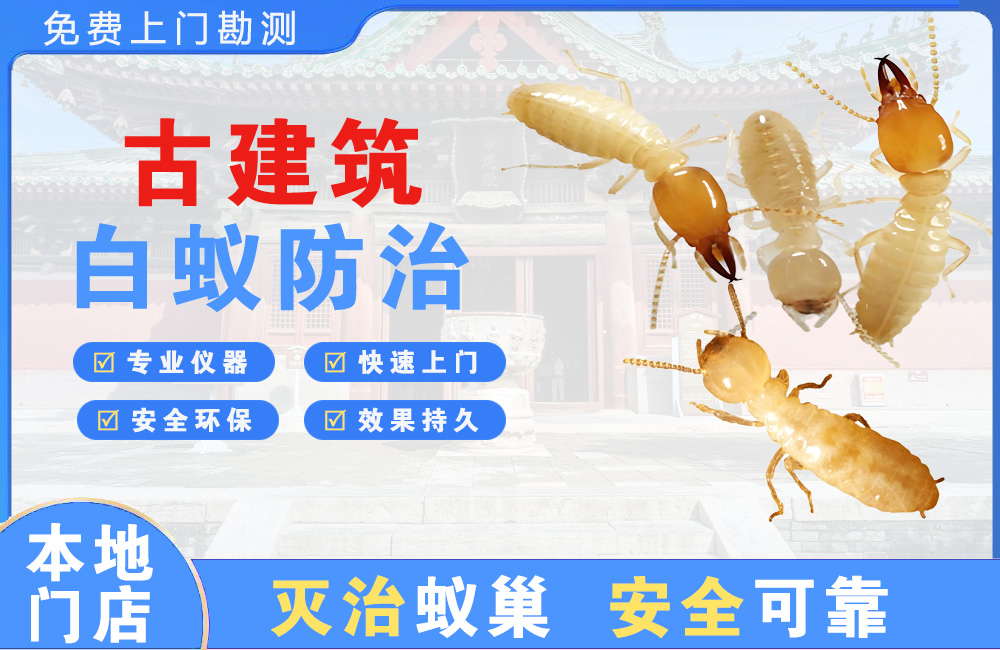 博罗古建筑白蚁防治