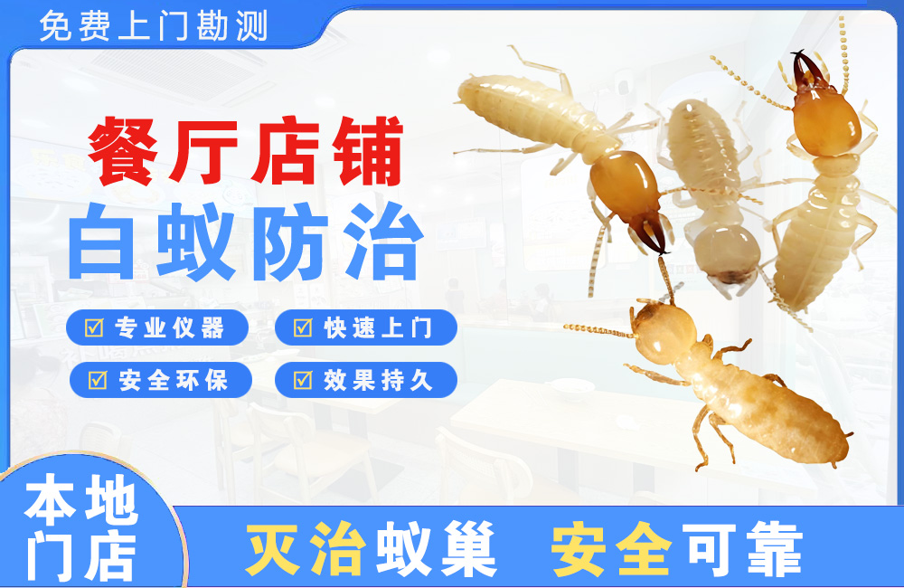 博罗餐厅店铺白蚁防治